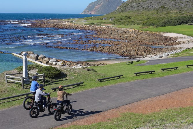 E-Bike Cape Peninsula tour - Boulders Beach and the penguin option