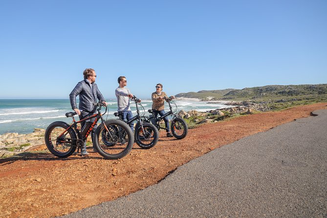E-Bike Cape Peninsula tour - Lunch is your responsibility