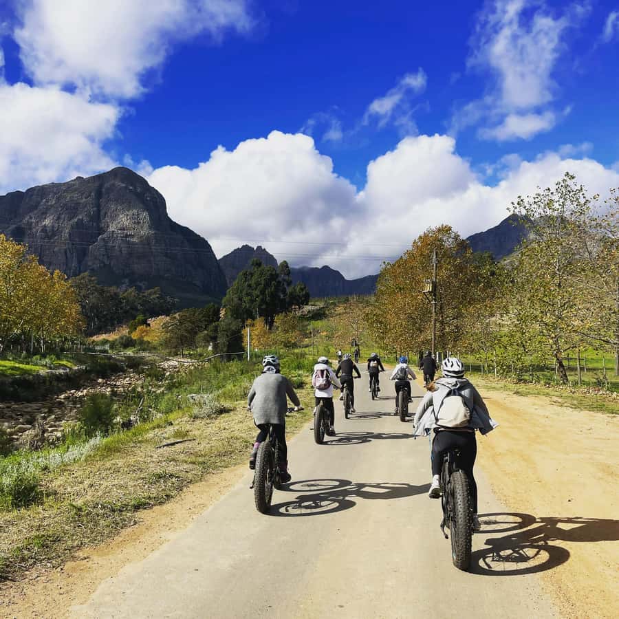 E-Bike Stellenbosch Winelands - Full Day Private Tour - Starting at Banhoek Chilli Oil Company