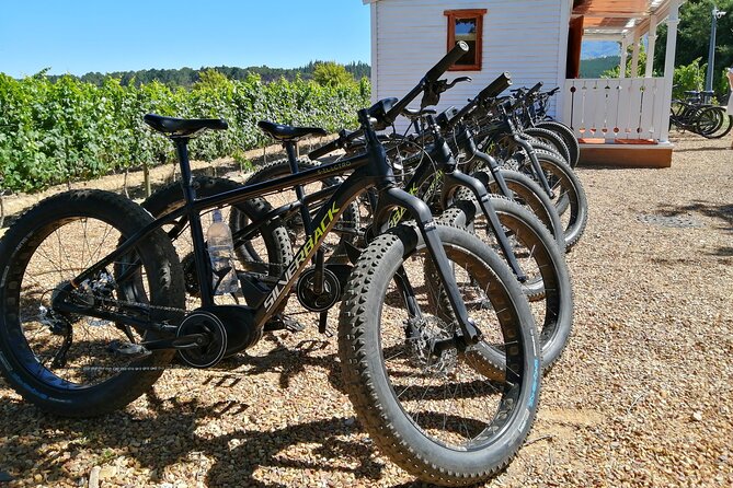 E-Bike Wine Tour Stellenbosch (Half Day) - Key points to know before you book