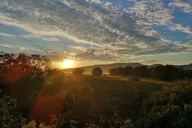 Early Morning Balloon Safari with Breakfast from Magaliesburg - Price, group size, and overall value