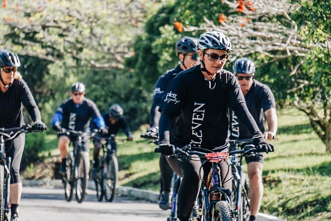 eBike Tours - Forest, Plantations and Fynbos on One Ride