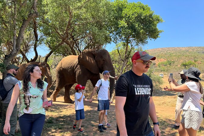 Elephant & Monkey Sanctuary Tour from Johannesburg - Key things to know before booking