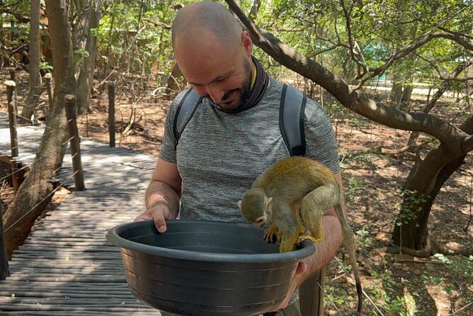 Elephant & Monkey Sanctuary Tour from Johannesburg - What this Johannesburg animal tour actually feels like