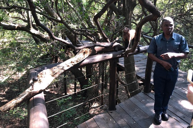 Elephant & Monkey Sanctuary Tour from Johannesburg - Who will enjoy this most