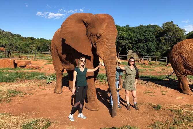 Elephant & Monkey Sanctuary Tour from Johannesburg - The drive through Magaliesburg to Hartebeespoortdam