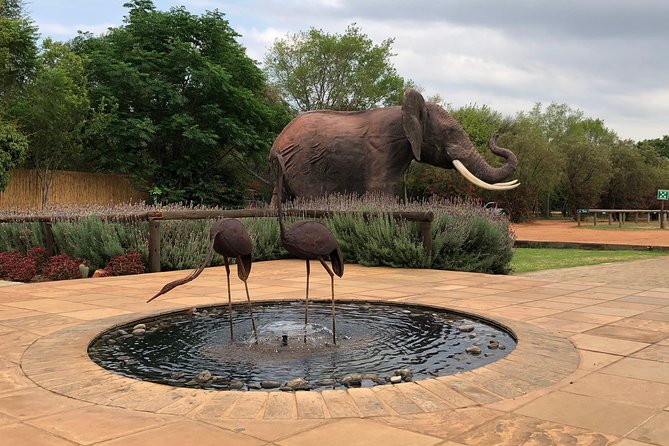 Elephant Sanctuary Tour from Johannesburg - The value of the $274.85 price