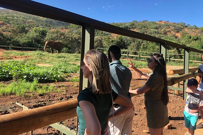 Elephant Sanctuary Tour from Johannesburg - Should you book this elephant sanctuary tour?