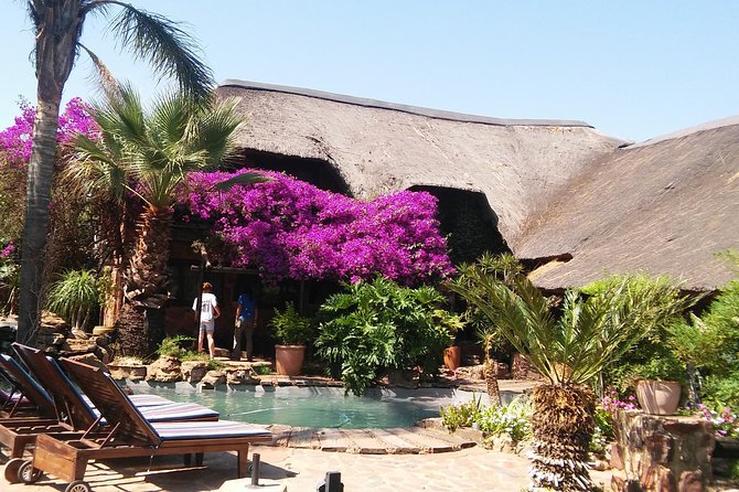 Elephant Walk Guided Half Day Tour from Johannesburg - Is $189.65 a fair price?