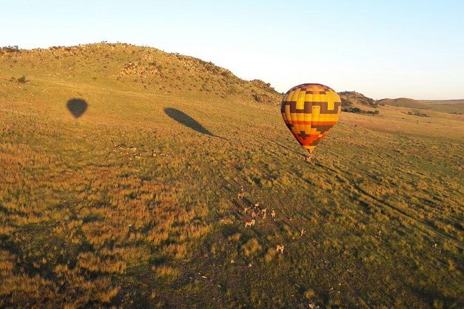 Exclusive Safari Flight - Key points to know before booking