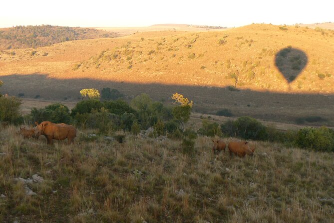 Exclusive Safari Flight - Weather, cancellation, and timing concerns