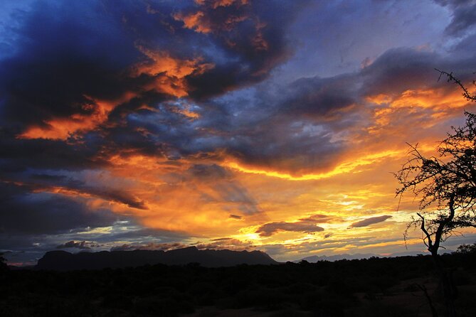 Exclusive Sunset Game Drive Safari near Hoedspruit - Key points to know before booking