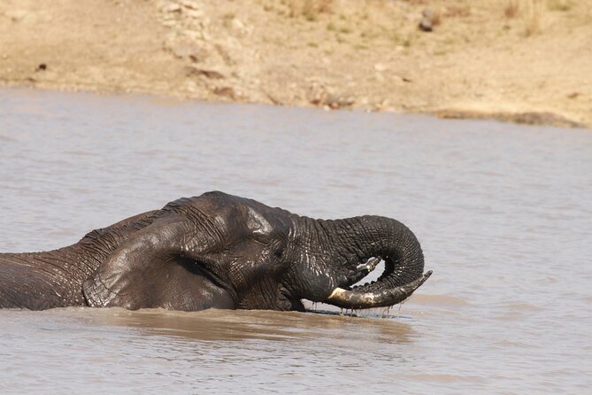 Exclusive Sunset Game Drive Safari near Hoedspruit - The guide shapes the quality of the drive