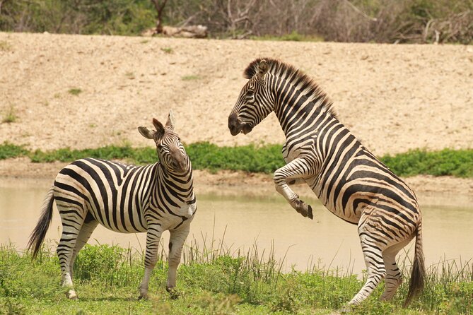 Exclusive Sunset Game Drive Safari near Hoedspruit - Sundowners add a pleasant pause, not just a photo stop