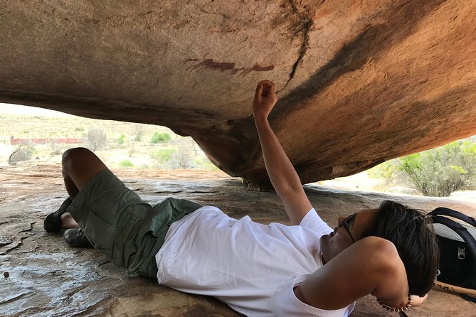 Explore ancient rock art on a private guided trip from Cape Town - Key points at a glance