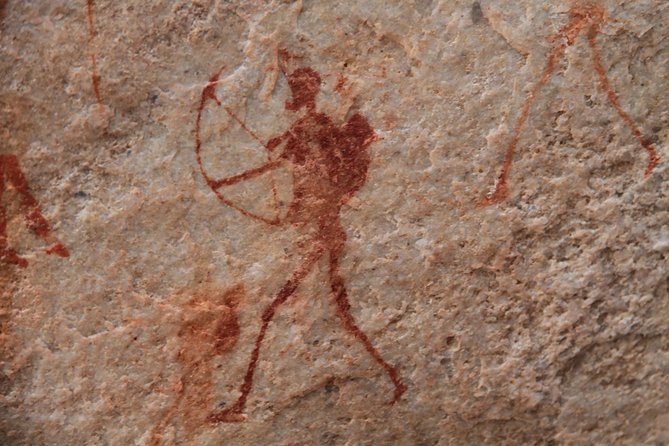 Explore ancient rock art on a private guided trip from Cape Town - Why the Cederberg rock art matters