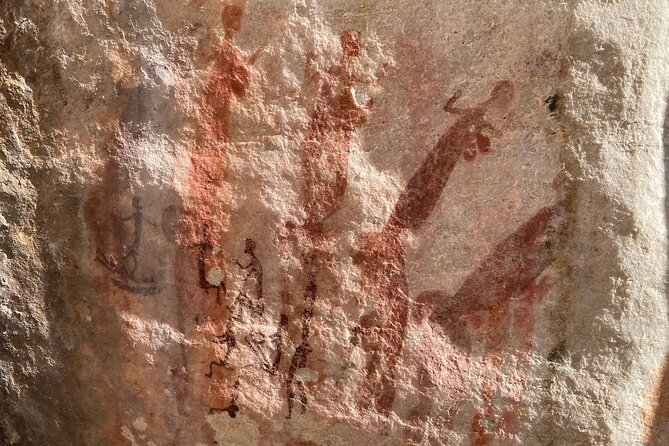 Explore ancient rock art on a private guided trip from Cape Town - Clanwilliam and the route through the mountains