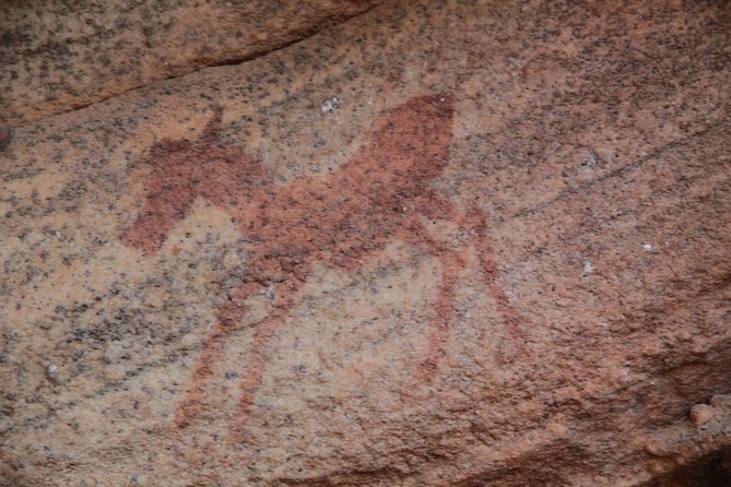 Explore ancient rock art on a private guided trip from Cape Town - Four hours in the Cederberg