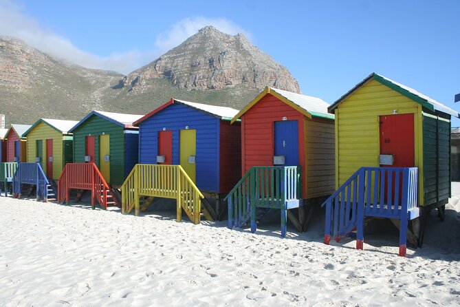 Explore Cape of Good Hope and Boulders Beach Private Tour - Hout Bay and Seal Island: choose carefully