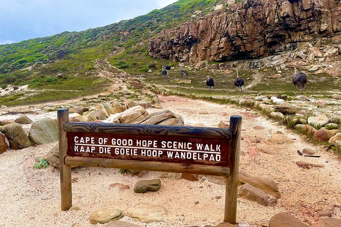 Explore Cape of Good Hope and Boulders Beach Private Tour - Boulders Beach is the wildlife centerpiece