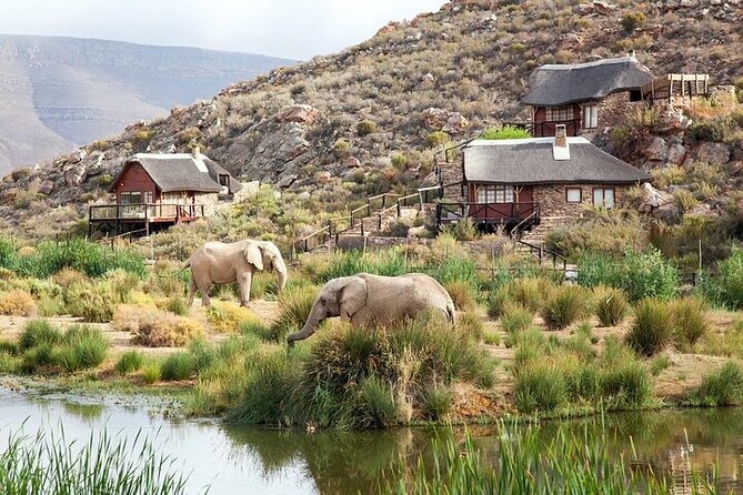Explore the best Big 5 Aquila Safari Tour and Wine Tasting - Arriving at Aquila Private Game Reserve