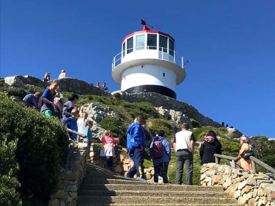 Fascinating Cape Peninsula Experience (private & exclusiv) - Why this private Cape Peninsula day makes sense