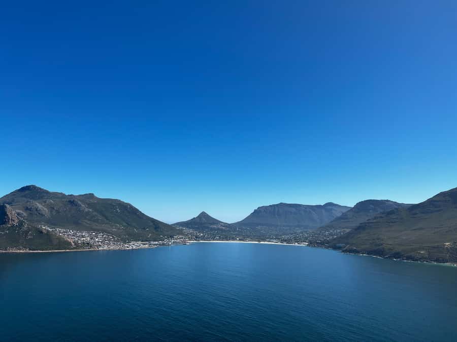 Fascinating Cape Peninsula Experience (private & exclusiv) - Fynbos adds meaning beyond the viewpoints