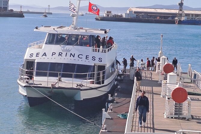 Ferry Tour to Robben Island Museum with One Way Hotel Transfer - Who Will Get the Most from This Visit
