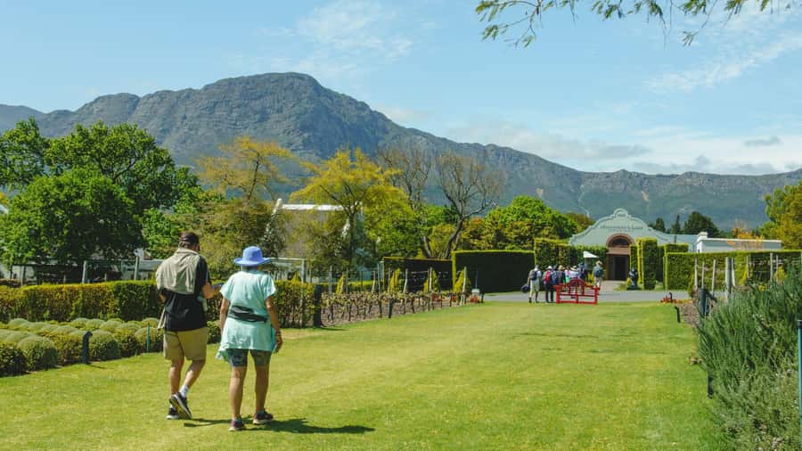 Franschhoek: An enchanting storytelling walk to 3 wine farms - Why this Franschhoek walk feels different