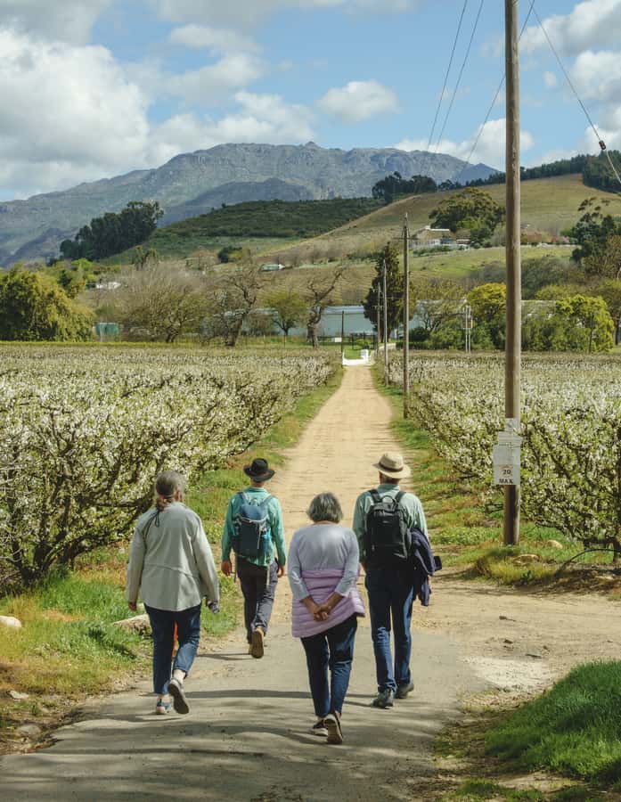 Franschhoek: An enchanting storytelling walk to 3 wine farms - Mont Rochelle and the first wine tasting