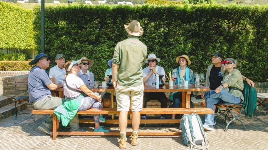 Franschhoek: An enchanting storytelling walk to 3 wine farms - Mullineux & Leeu and the second tasting