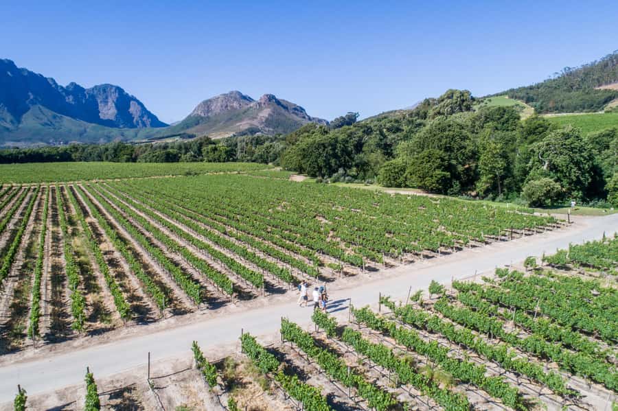 Franschhoek: An enchanting storytelling walk to 3 wine farms - Price, timing, and what you receive