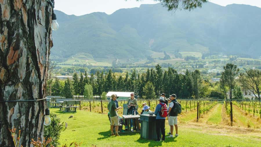 Franschhoek: An enchanting storytelling walk to 3 wine farms - Starting at the Dutch Reformed Church