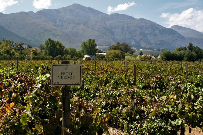 Franschhoek Cycle Experience Half Day - Private Tour - What the guide adds to the ride