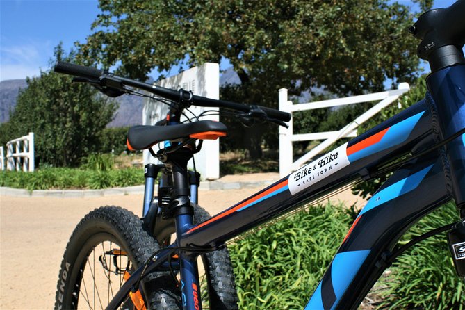 Franschhoek Cycle & Tasting Experience 4hr (Shared) - The first wine farm sets the tone