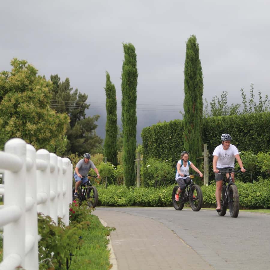 Franschhoek: E-Bike Guided Winery Tour - Starting at 9 Fabriek Street