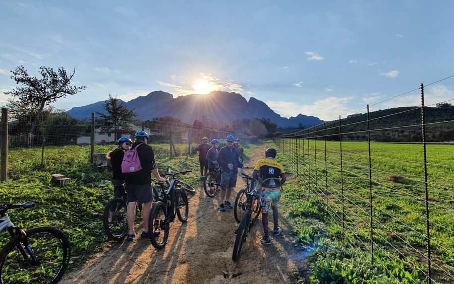 Franschhoek: E-bike Tour with Wine Tasting and Lunch - Who Will Enjoy This Tour Most