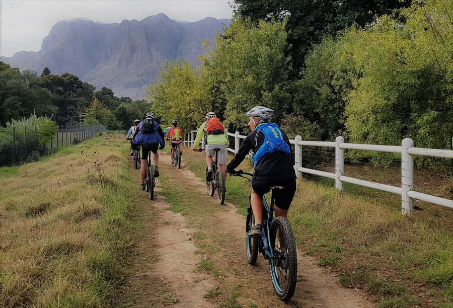 Franschhoek: E-bike Tour with Wine Tasting and Lunch - What 680 Meters of Climbing Feels Like
