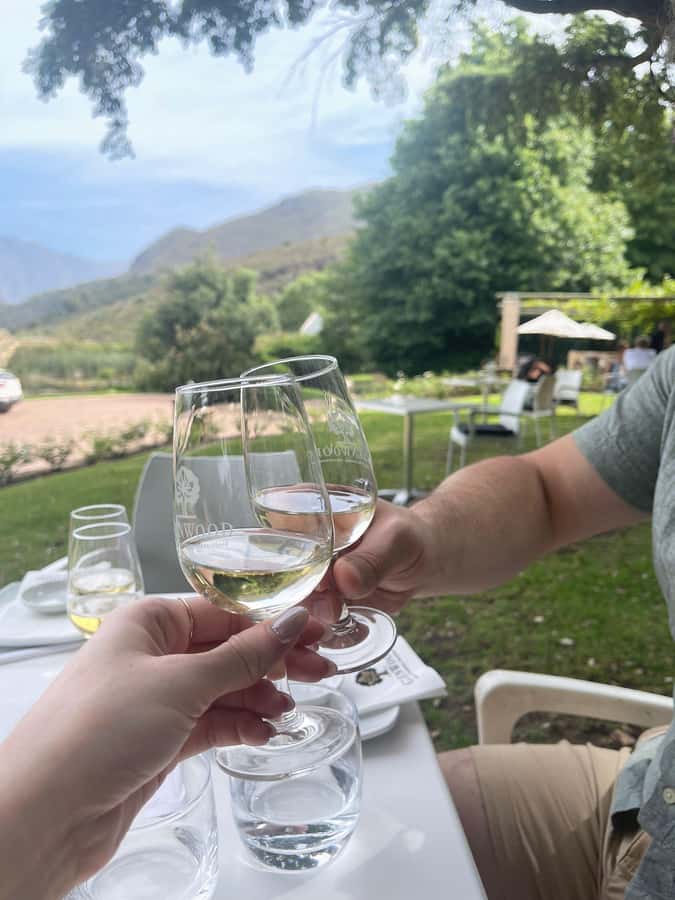 Franschhoek E-Bike & Wine Tour - Why an e-bike works so well in Franschhoek