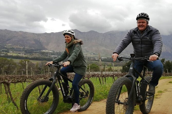 Franschhoek E-Bike Wine Tour (Half Day) - Two or three wine farms, with tastings on your own account