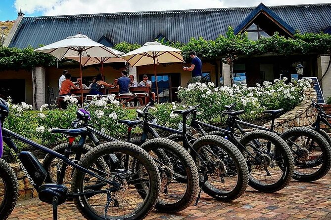 Franschhoek E-Bike Wine Tour (Half Day) - Morning or afternoon: choosing your timing