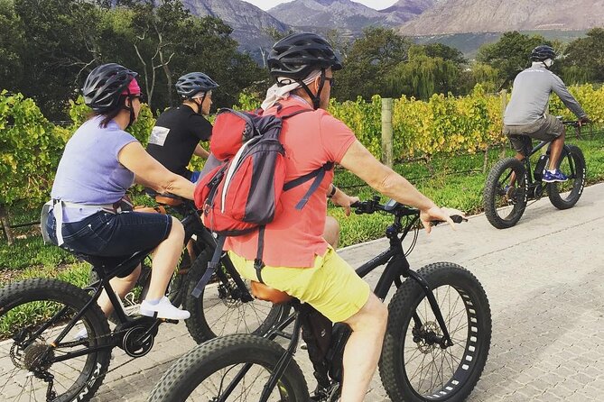 Franschhoek E-Bike Wine Tour (Half Day) - Who will enjoy this half-day outing