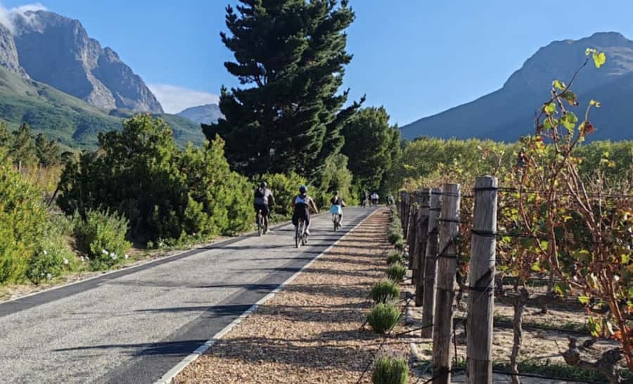 Franschhoek: E-Bike & Wine Tour (Shared Tour) - Key points to know before you ride