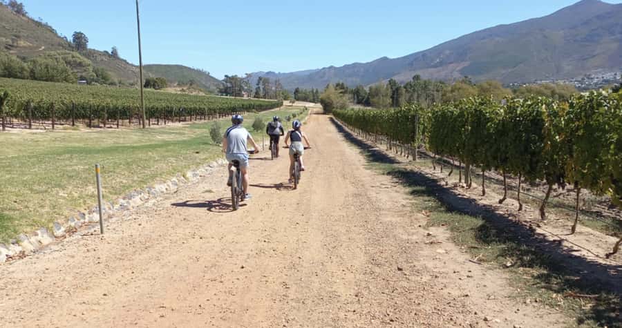 Franschhoek: E-Bike & Wine Tour (Shared Tour) - My verdict: book it for scenery, movement, and a closer wine look