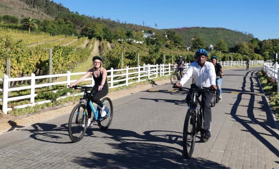 Franschhoek: E-Bike & Wine Tour (Shared Tour) - Why an e-bike works well in Franschhoek