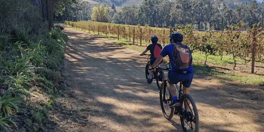 Franschhoek: E-Bike & Wine Tour (Shared Tour) - What happens at the wine estates
