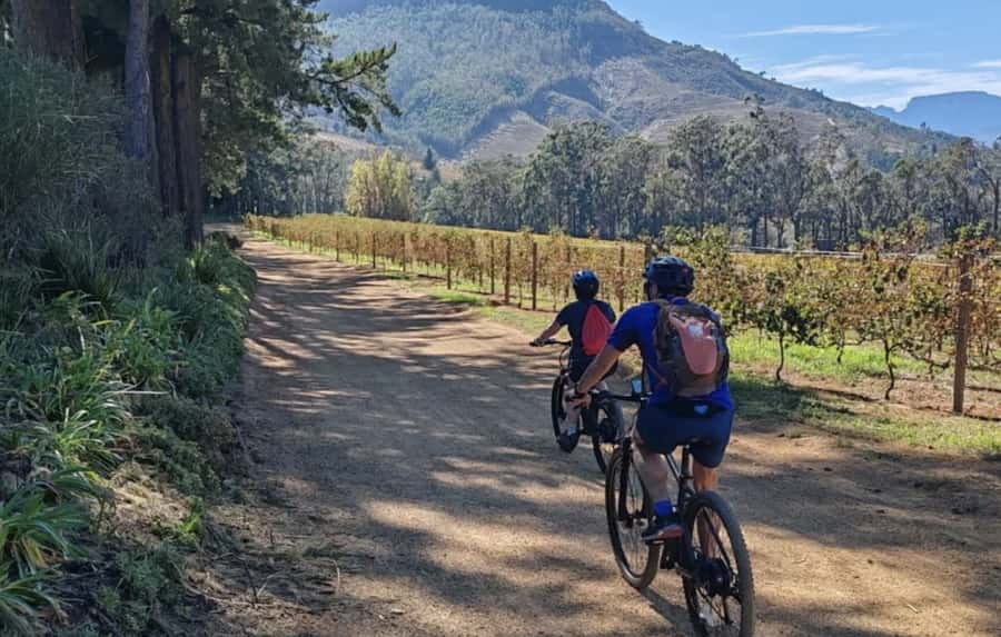Franschhoek: E-Bike & Wine Tour (Shared Tour) - Is $108 a fair price?