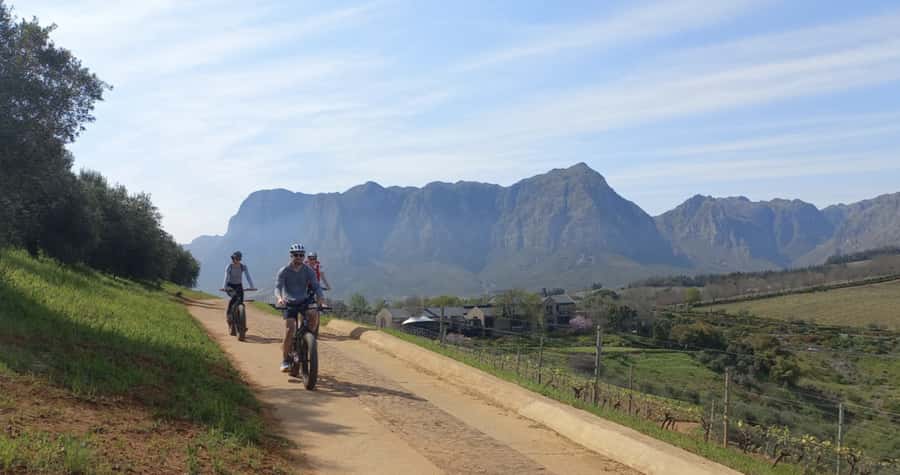 Franschhoek: E-Bike & Wine Tour (Shared Tour) - Who will enjoy this tour most