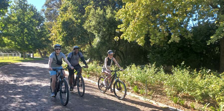 Franschhoek E-Bike & Wine Tour - The ride through the Franschhoek Wine Valley