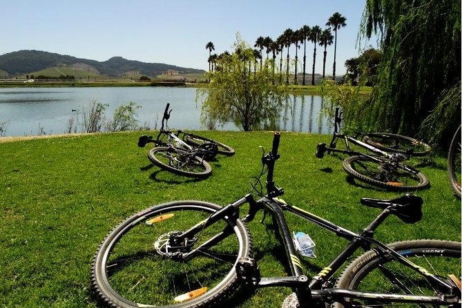 Franschhoek Half Day Winelands Mountain Bike Tour - Riding through the Franschhoek Valley